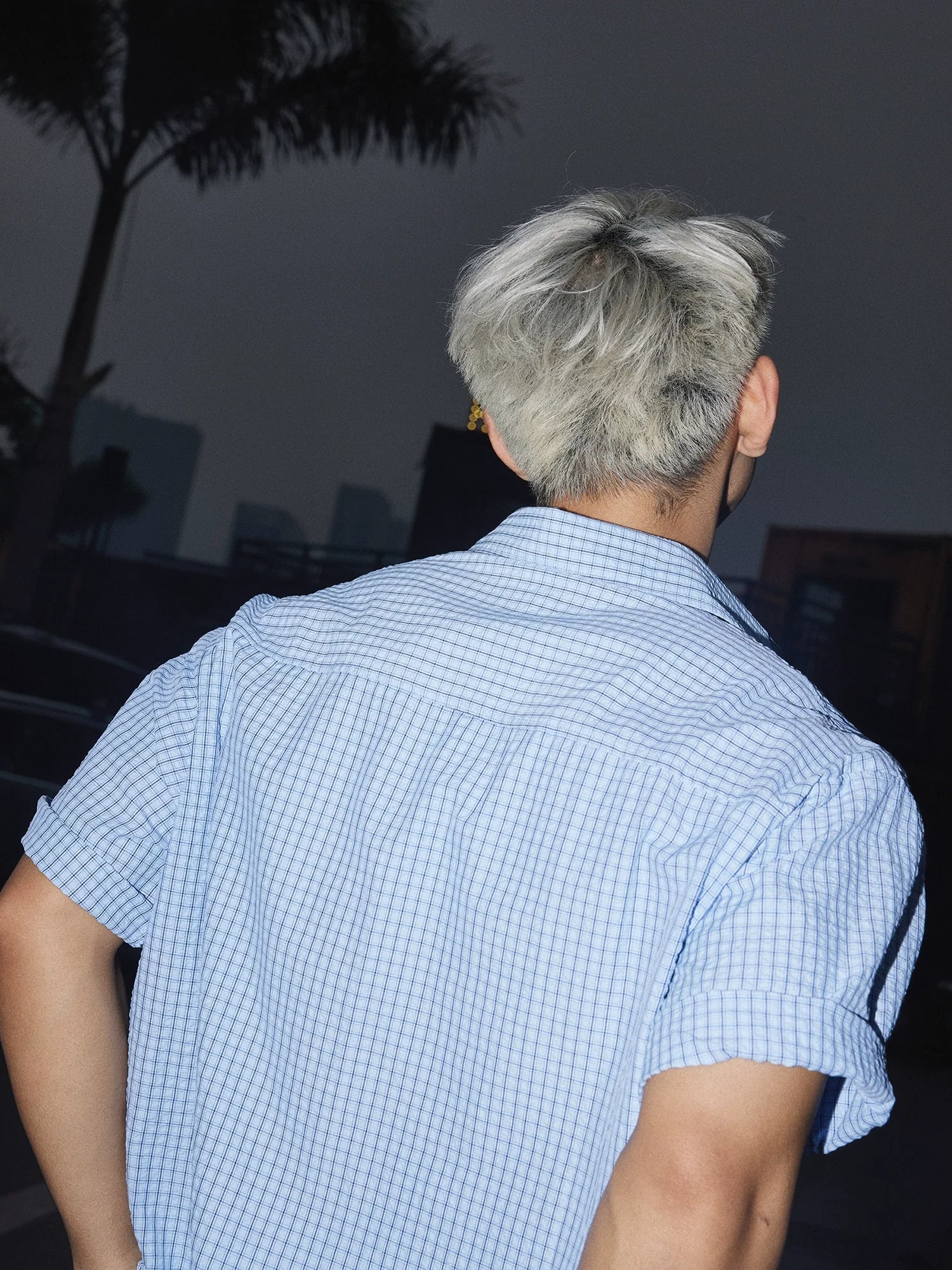 Cartoon Embroidered Check Shirt