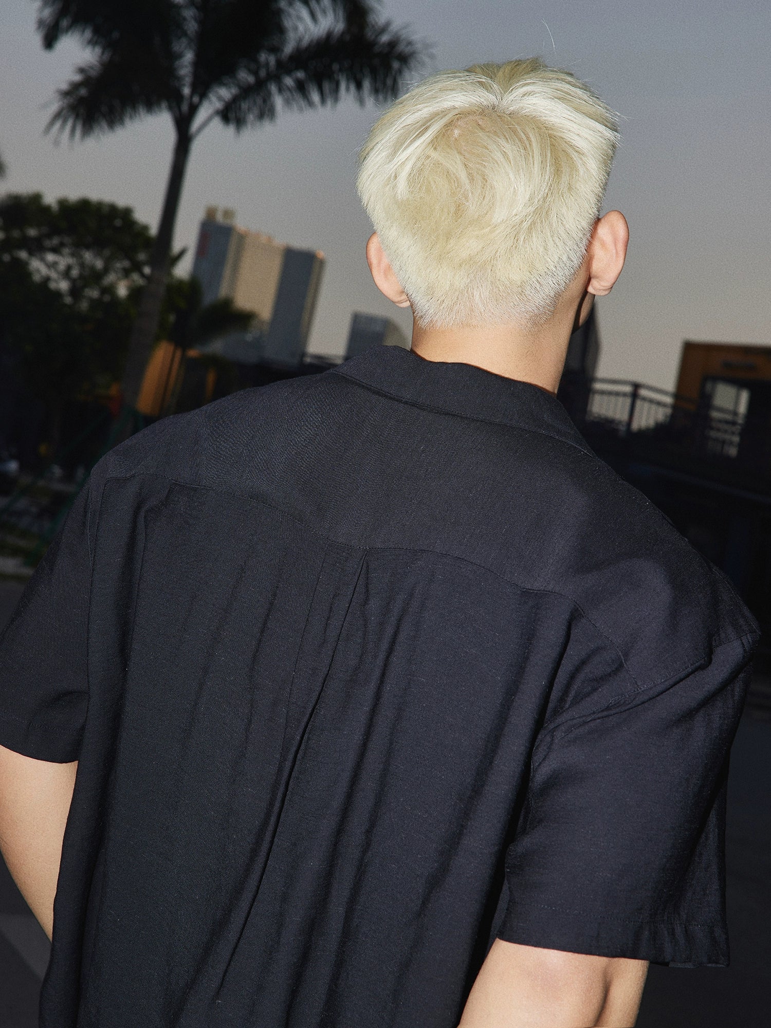 Palm Tree Embroidered Shirt