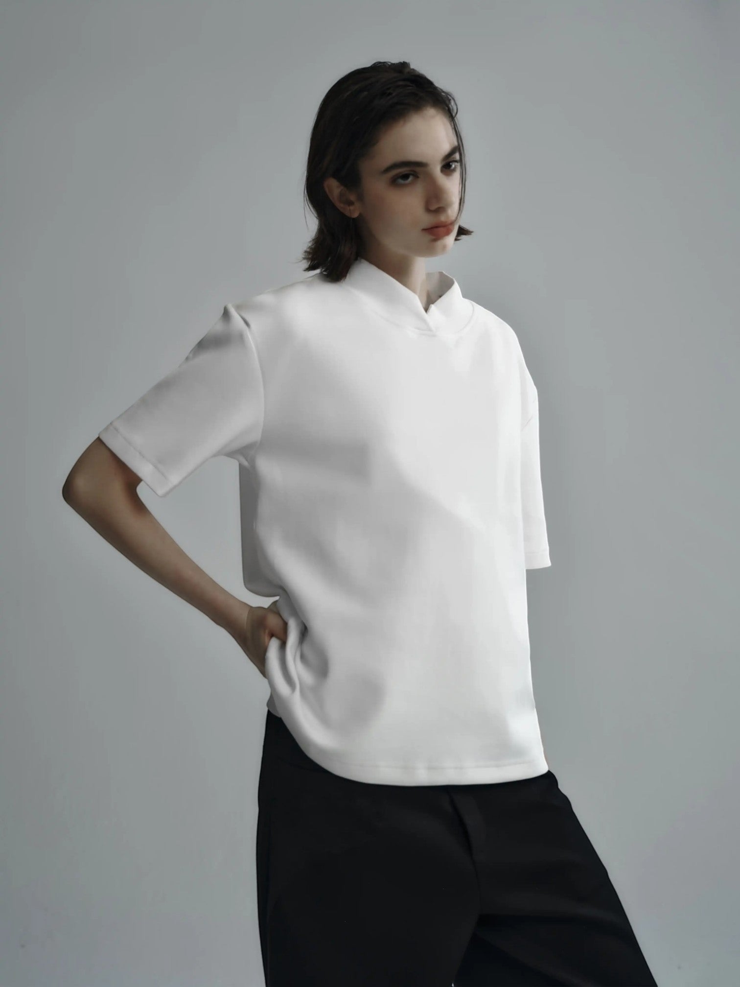 PREMIUMFITS-T-SHIRT 236
